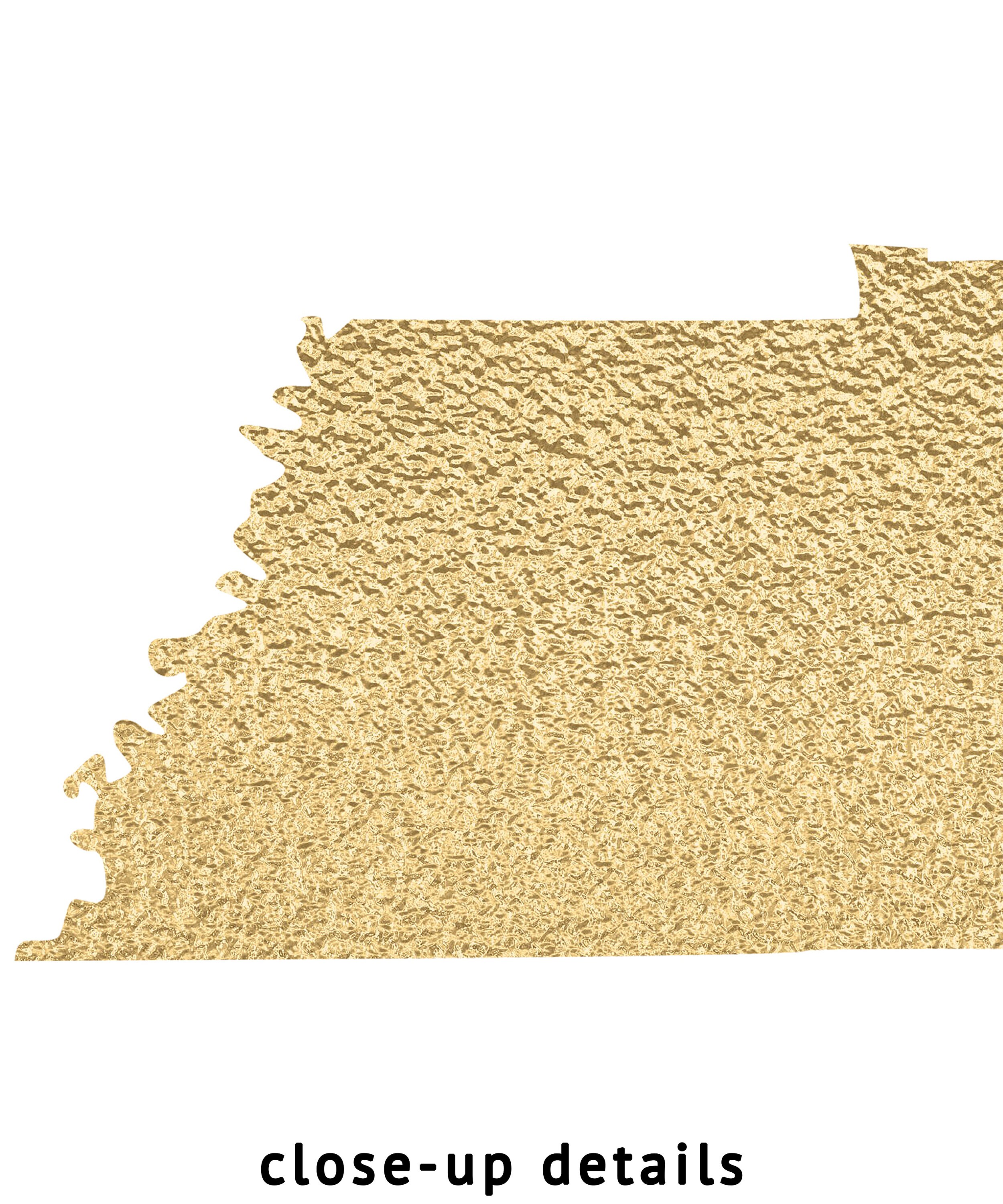 Tennessee Inmate Database Unveiled Foil Empowers The Public - 6g3puzh