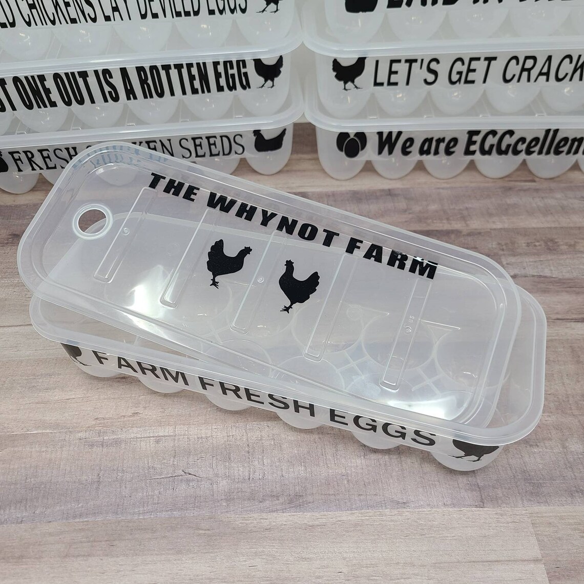 Plastic Reusable Egg Container Funny Saying Egg Carton Etsy