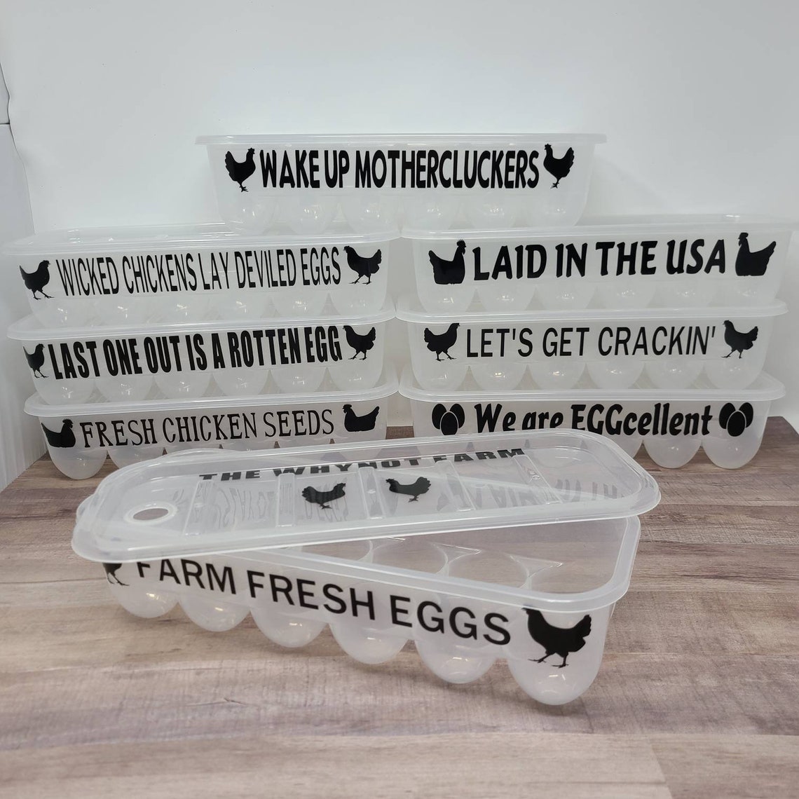 Plastic Reusable Egg Container Funny Saying Egg Carton Etsy