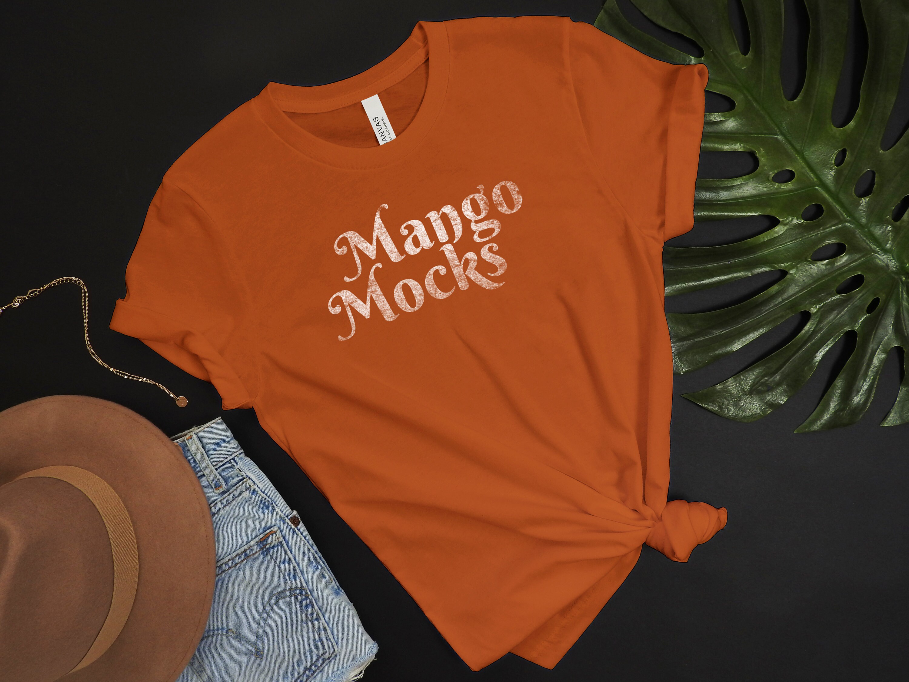 Download Bella Canvas 3001 Mockup Autumn T-Shirt Mockup Mango | Etsy