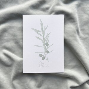 Carte branche d'olivier, olive, olives, carte postale
