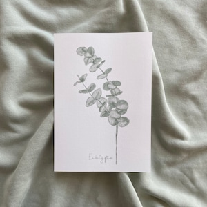 Eucalyptuskaart