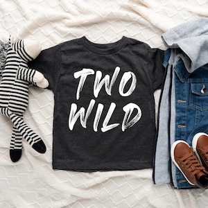 Two Wild Baseball Birthday Shirt, Toddler Shirt For 2 Year Old Birthday, Kids Second Birthday Gift