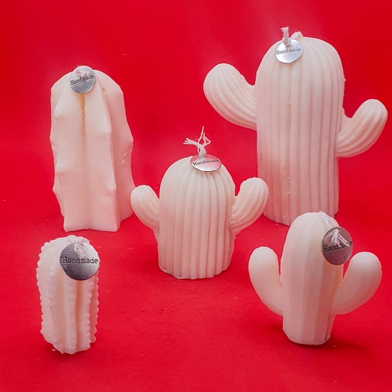 Cactus Candle| Catus shaped Candle | Home decor Candles | Dekorative Candle| Kawaii Candle| Cute Gift| Plant Candle| Mini Catus Candle| Set