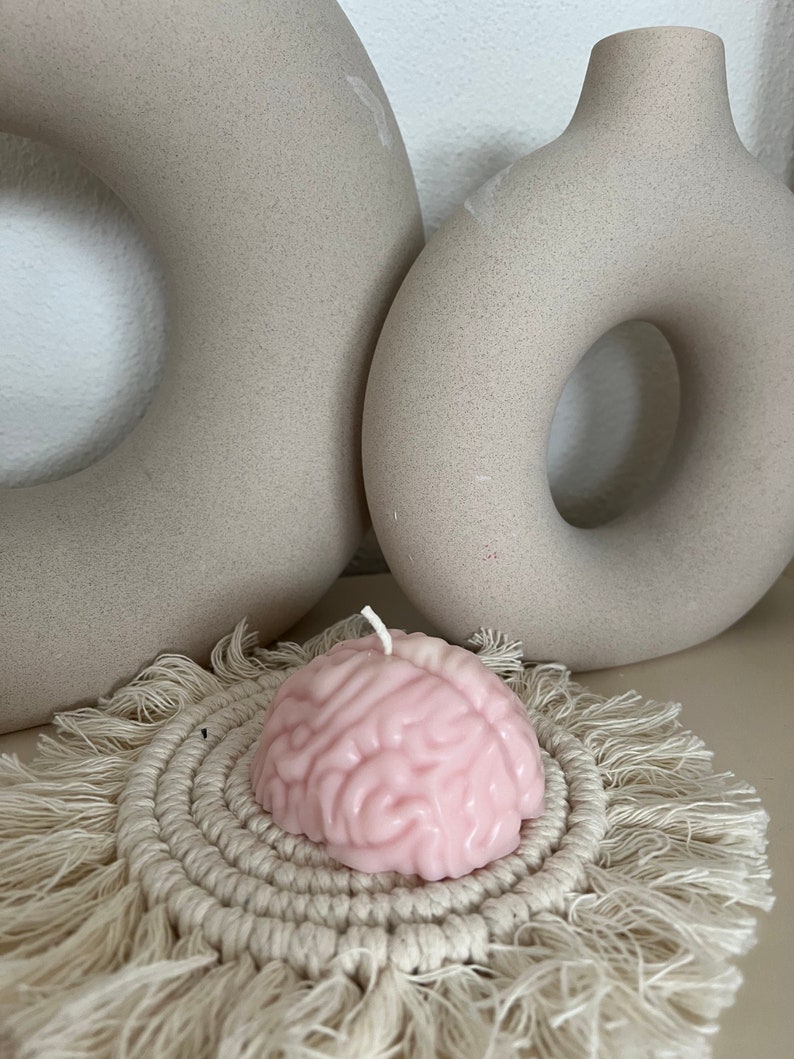 Brain - Brain Candle - Neurosurgery - Handmade - Anatomical - Brain ...