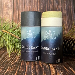 DEODORANT natural, plastic-free in eco-friendly paper tube fights body odor senstive skin vegan woodsy forest scent herbs 75g Bild 3