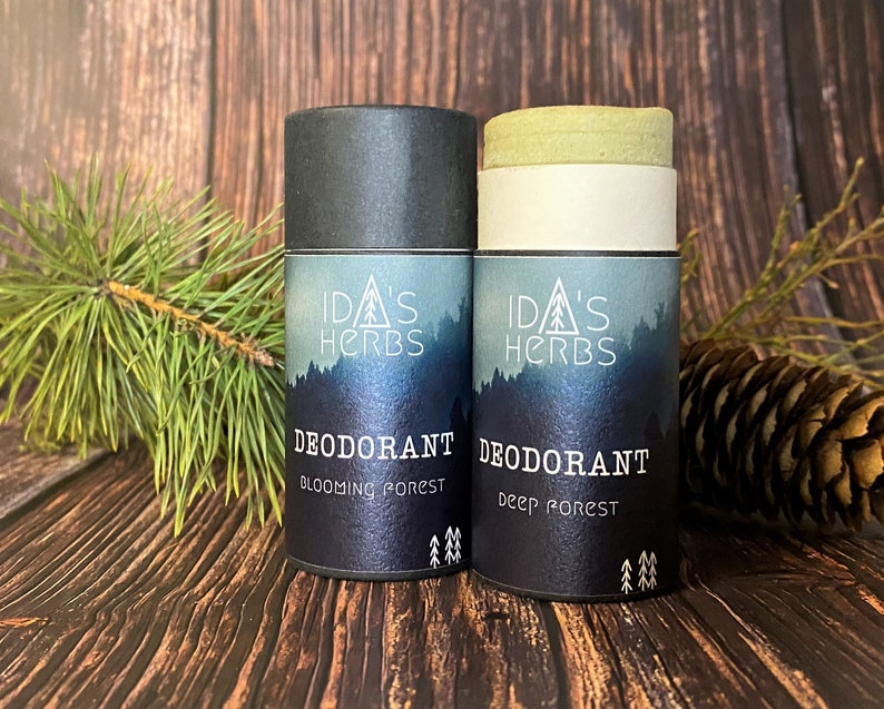 DEODORANT natural, plastic-free in eco-friendly paper tube fights body odor senstive skin vegan woodsy forest scent herbs 75g Bild 3