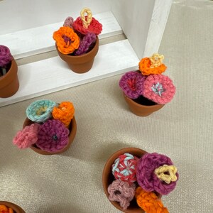 May include: A collection of six small terracotta pots, each filled with crocheted flowers in various colors, including pink, orange, yellow, and blue.