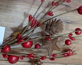 Red berry and pinecone pick