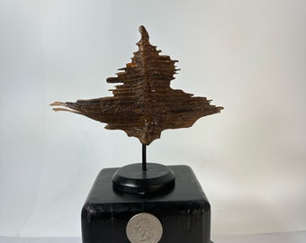 Natural Pine Art