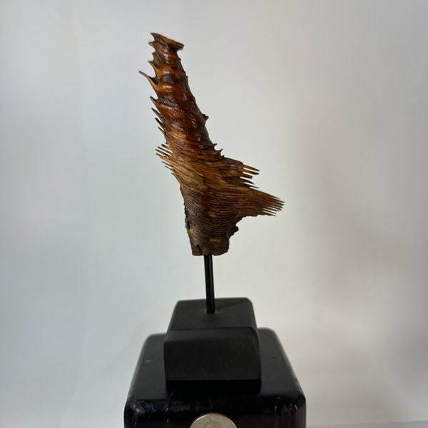 Pine knot Statuette