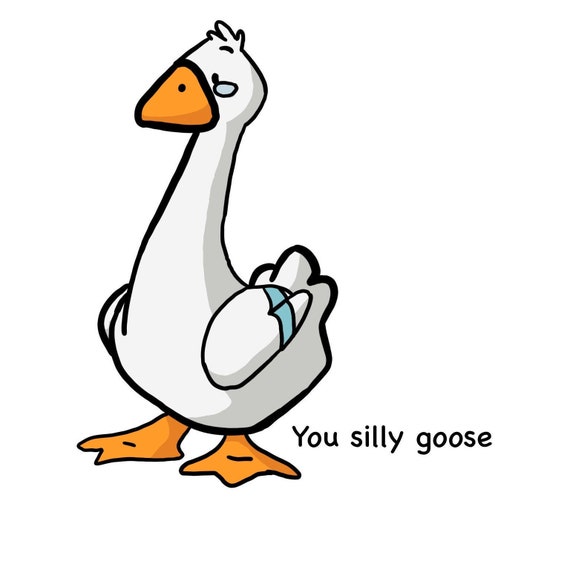 How To Say Silly Goose In French