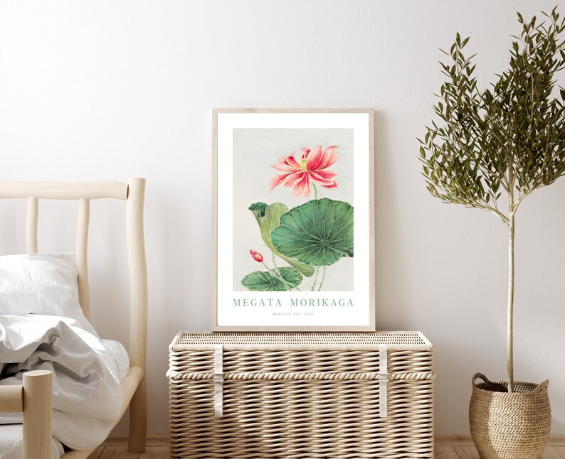 Puede incluir: Una ilustraci&oacute;n bot&aacute;nica enmarcada de una flor de loto rosa con hojas verdes. La ilustraci&oacute;n se titula "Megata Morikaga" con el texto "Botany of the East" debajo.