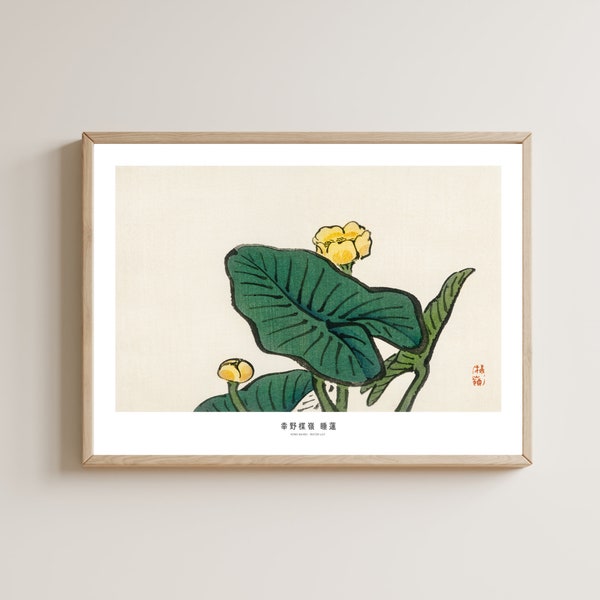 Vintage Japanese water lily wall art, Yellow and Green Flower Print, Plant poster, Japandi home decor, Oriental painting poster