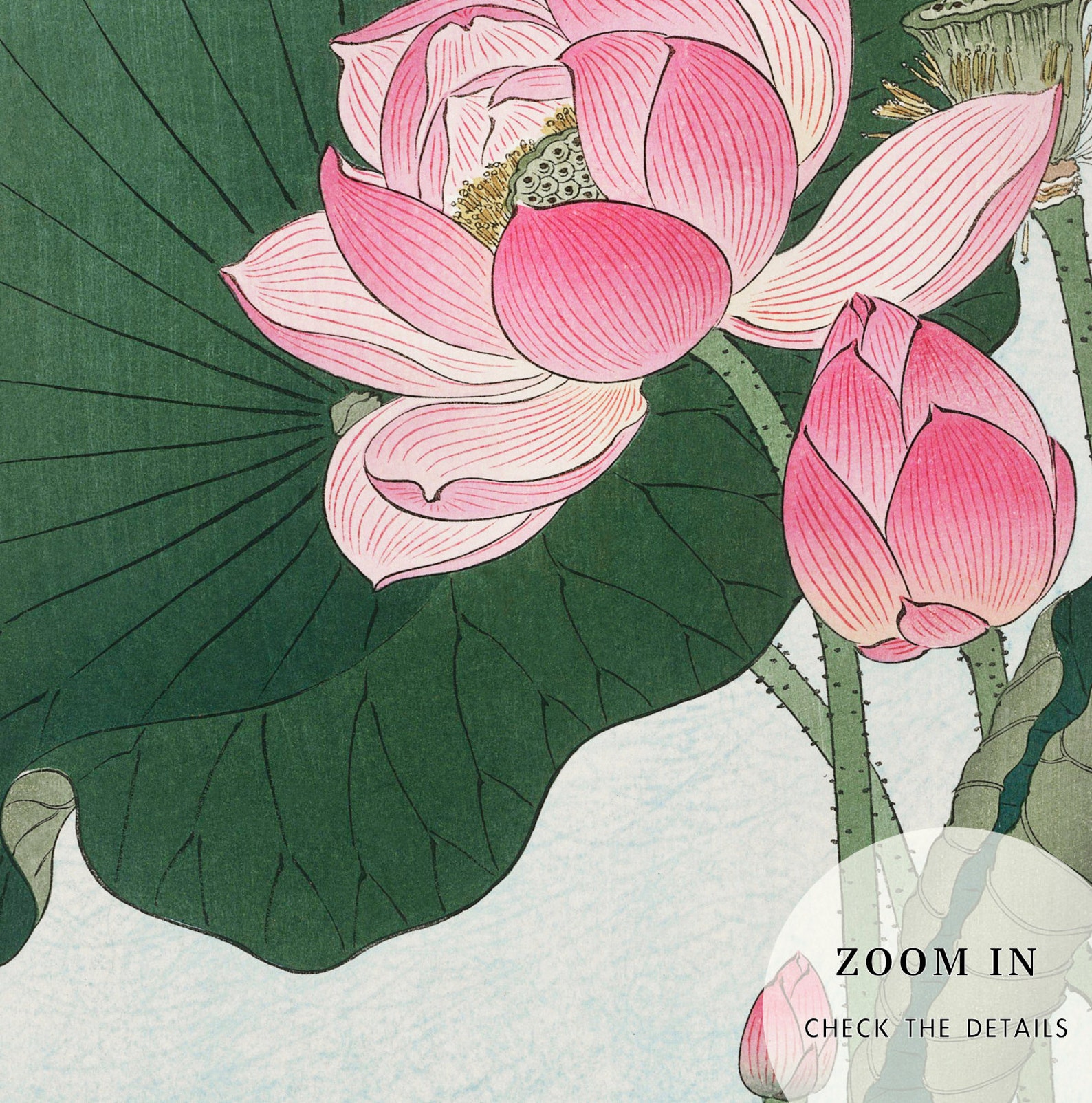 Vintage Japanese Lotus Flower Wall Art by Ohara Koson, Zen Garden Decor ...
