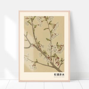May include: A vintage botanical illustration of a cherry blossom branch with delicate white flowers and pink buds. The image is framed in a light brown frame and includes the Japanese text "右浦非水".