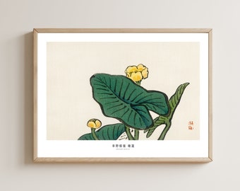 Japanese art print, Water lily print, Water lily art, Japandi wall art, Japandi decor, Japanese flower poster, Japan poster, Kono Bairei,
