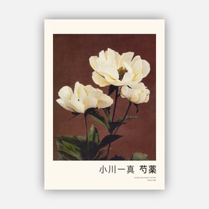 Impresión artística japonesa de flores de peonía de Ogawa Kazumasa