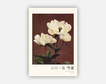 小川一正「牡丹の花」日本画版画