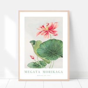 Puede incluir: Una ilustraci&oacute;n bot&aacute;nica enmarcada de una flor de loto rosa con hojas verdes. El t&iacute;tulo de la ilustraci&oacute;n es "Megata Morikaga" con las palabras "Water-Lily, Basil Lotus" debajo.