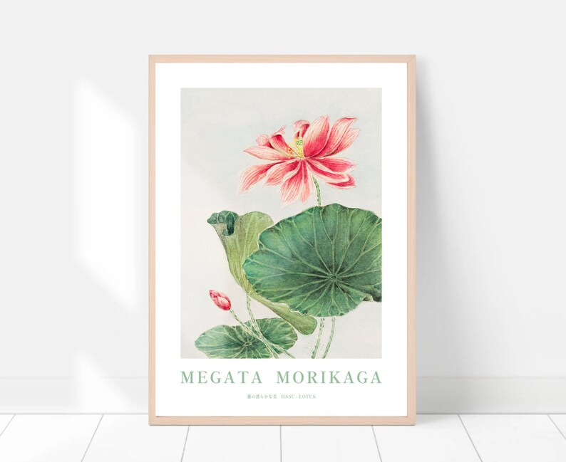Puede incluir: Una ilustraci&oacute;n bot&aacute;nica enmarcada de una flor de loto rosa con hojas verdes. El t&iacute;tulo de la ilustraci&oacute;n es "Megata Morikaga" con las palabras "Water-Lily, Basil Lotus" debajo.