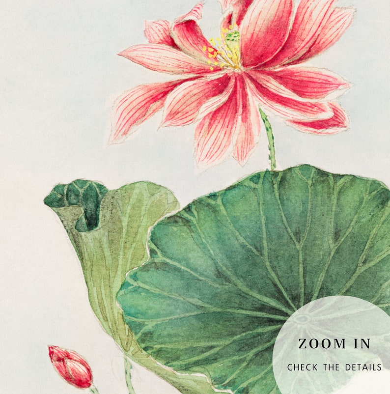 Puede incluir: Una pintura de acuarela de una flor de loto rosa con hojas verdes. La flor est&aacute; en flor y tiene un centro amarillo. Las hojas son grandes y tienen una superficie texturizada. La pintura est&aacute; sobre un fondo blanco.