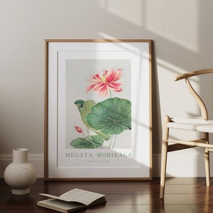 Puede incluir: Una ilustraci&oacute;n bot&aacute;nica enmarcada de una flor de loto rosa con hojas verdes. La impresi&oacute;n se titula "Megata Morikaga" con el texto "Botanical Art, Japan".