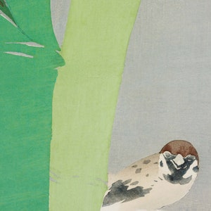 May include: A watercolor painting of a sparrow perched on a branch. The sparrow is brown and white with a dark eye. The branch is green and brown. The background is a light gray.
