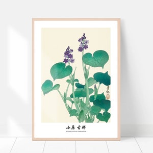 Vintage Japanese flower print, Blooming Hosta by Ohara koson, Japanese woodblock, Japanese art, Japanese poster, Japan wall art, Vintage art