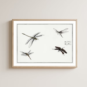 Vintage Japanese dragonfly print, Japanese print, Japanese poster, Japanese wall decor, Japan wall art, Oriental art, Japanese gifts