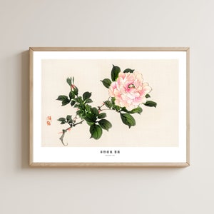 Impresión de arte rosa rosa japonesa por Kono Bairei / Decoración floral vintage / Reproducción de Bairei Gakan
