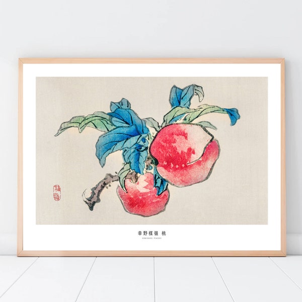 Japanese Fruit Etsy