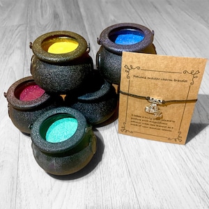 May include: A brown charm bracelet with a silver cauldron charm. The bracelet is on a card that reads "Potions master charm bracelet" and "It takes a truly great wizard to produce such magnificent potions. Wear this bracelet as a mark of your magical talents."