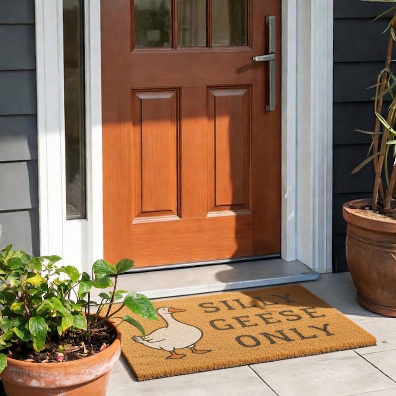 May include: A rectangular doormat with the text "SILLY GEESE ONLY" and a cartoon goose illustration. The mat is brown and sits in front of a brown wooden door. Potted plants frame the door.