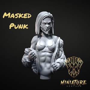 Maskierter Punk