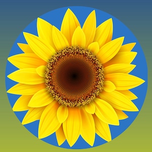 Sonnenblume Puzzle