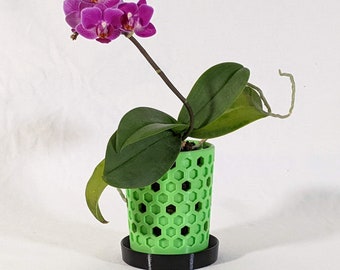 Honeycomb Orchid Pot - Small