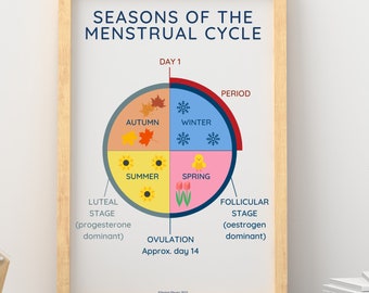 以下が含まれることがあります： SEASONS OF THE MENSTRUAL CYCLEというタイトルの額入り教育ポスター。グラフィックには、秋、冬、春、夏を表す4つの象限に分割された円形図が含まれており、各段階とホルモンがラベル付けされています。