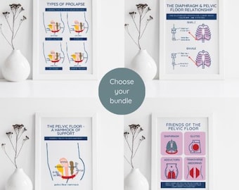 Pelvic Floor Education Posters | Choose your bundle
