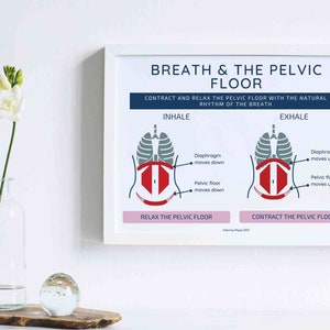 Physical Therapy Pelvic Floor Poster | Pelvic Floor Physical Therapy Art | Pelvic floor and breath relationship | Core and pelvic floor