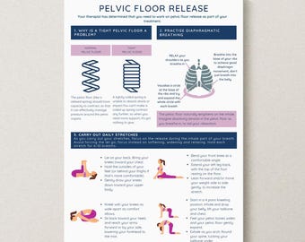 Pelvic Floor Stretches Handout | Patient Education (Digital Download)