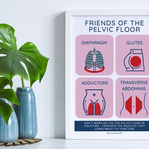 Friends of the Pelvic Floor Poster | Pelvic Floor Art | Pelvic Floor Physical Therapy
