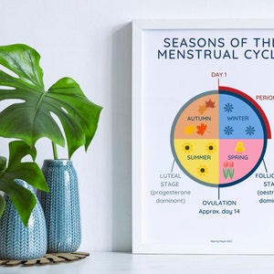 Seasons of the Menstrual Cycle Digital Poster | Hormone cycle | Female hormones | menstruation and periods education