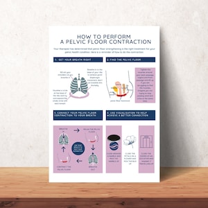 Pelvic Floor Health Education Handout PDF | Pelvic Floor strengthening Handout | Digital download