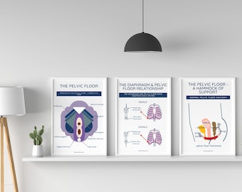 Pelvic floor poster bundle of 3 prints | Pelvic floor art | Pelvic floor physical therapist