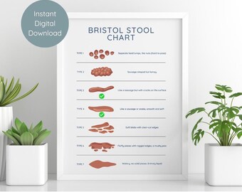 Bristol Stool Chart | Gut and Bowel Health Reference Guide | PDF Digital Download