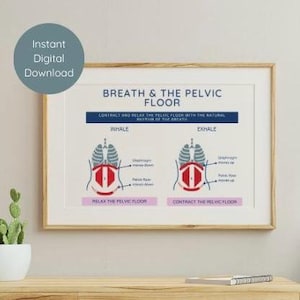 Physical Therapy Pelvic Floor Poster | Pelvic Floor Physical Therapy Art | Pelvic floor and breath relationship | Core and pelvic floor