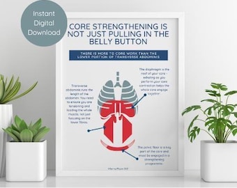 Physical Therapy Core & Pelvic Floor Poster | Pilates art | Pelvic floor art | physical therapy art