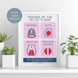 Friends of the Pelvic Floor Poster | Pelvic Floor Art | Pelvic Floor Education for Physiotherapy & Physical Therapy | Digital Download