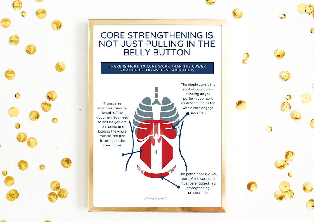 Physical Therapy Core Pelvic Floor Poster Pilates Art Pelvic Floor  Art Physical Therapy Art